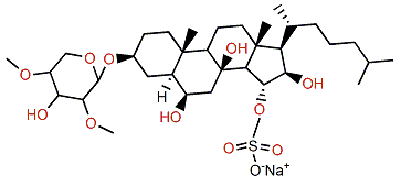 Laeviuscoloside B